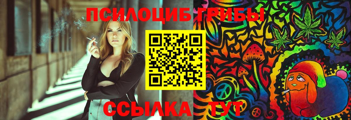Галлюциногенные грибы прущие грибы Зима