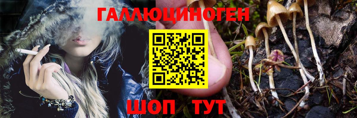 Зима  Галлюциногенные грибы Psilocybe  Вход с VPN 